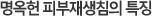 명옥헌 피부재생침의 특징