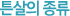 튼살의 종류