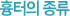 흉터의 종류