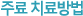 주요치료방법